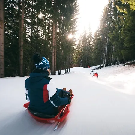 Confortable 2 Pièces + Cabine, Skis Aux Pieds - Fr-1-182a-35 Appartamento *