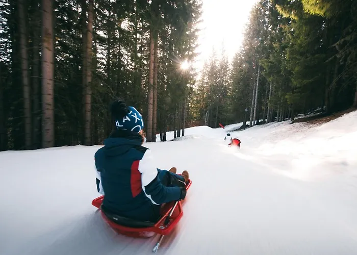 Daire 2 Pieces + Cabine, Skis Aux Pieds, Proche Commerces - Fr-1-182a-35 *